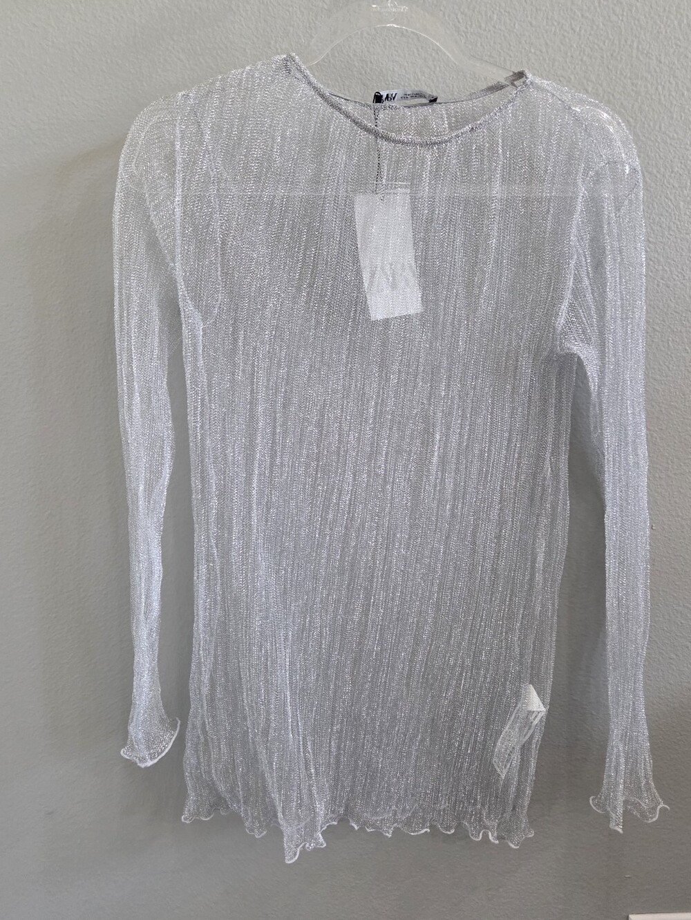 NWT Zara Shimmery Silver Sheer Long Sleeve Top